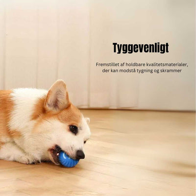 Interaktiv legebold til hunde - Blå - PawPals.dk
