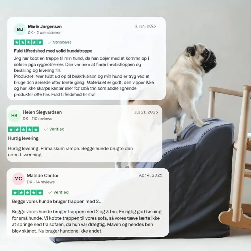 PawPals ComfortStep™️ hunderampe - S - 50 - PawPals.dk