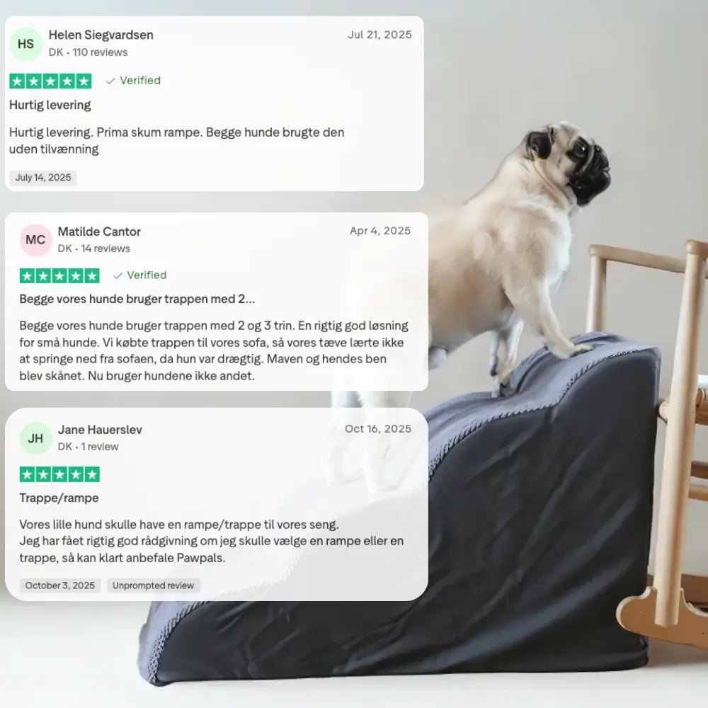 PawPals ComfortStep™️ hundetrappe - S - 30 - PawPals.dk