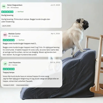 PawPals ComfortStep™️ hundetrappe - S - 30 - PawPals.dk