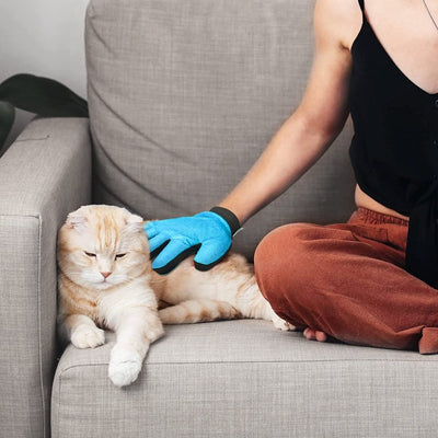 PawPals PelsPleje Handsken - Blå - PawPals.dk